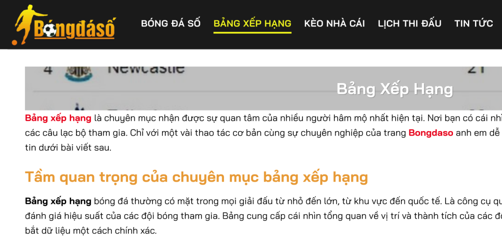 Khám Phá Sexvl – Trang Web Bóng Đá Yêu Thích Của Hàng Triệu Người