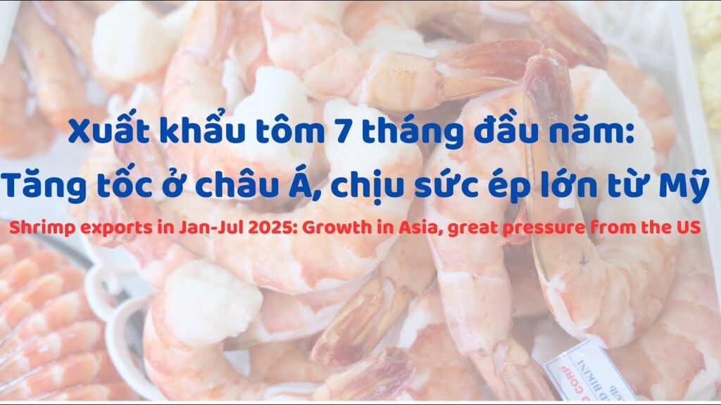 Khám Phá Sex Vl – Nền Tảng Cờ Bạc An Toàn Và Hấp Dẫn