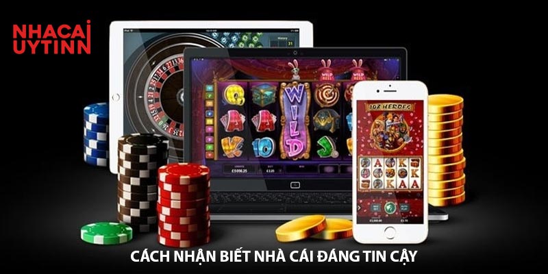 Sex Mong To Lựa Chọn Hàng Đầu Cho Giới Cá Cược